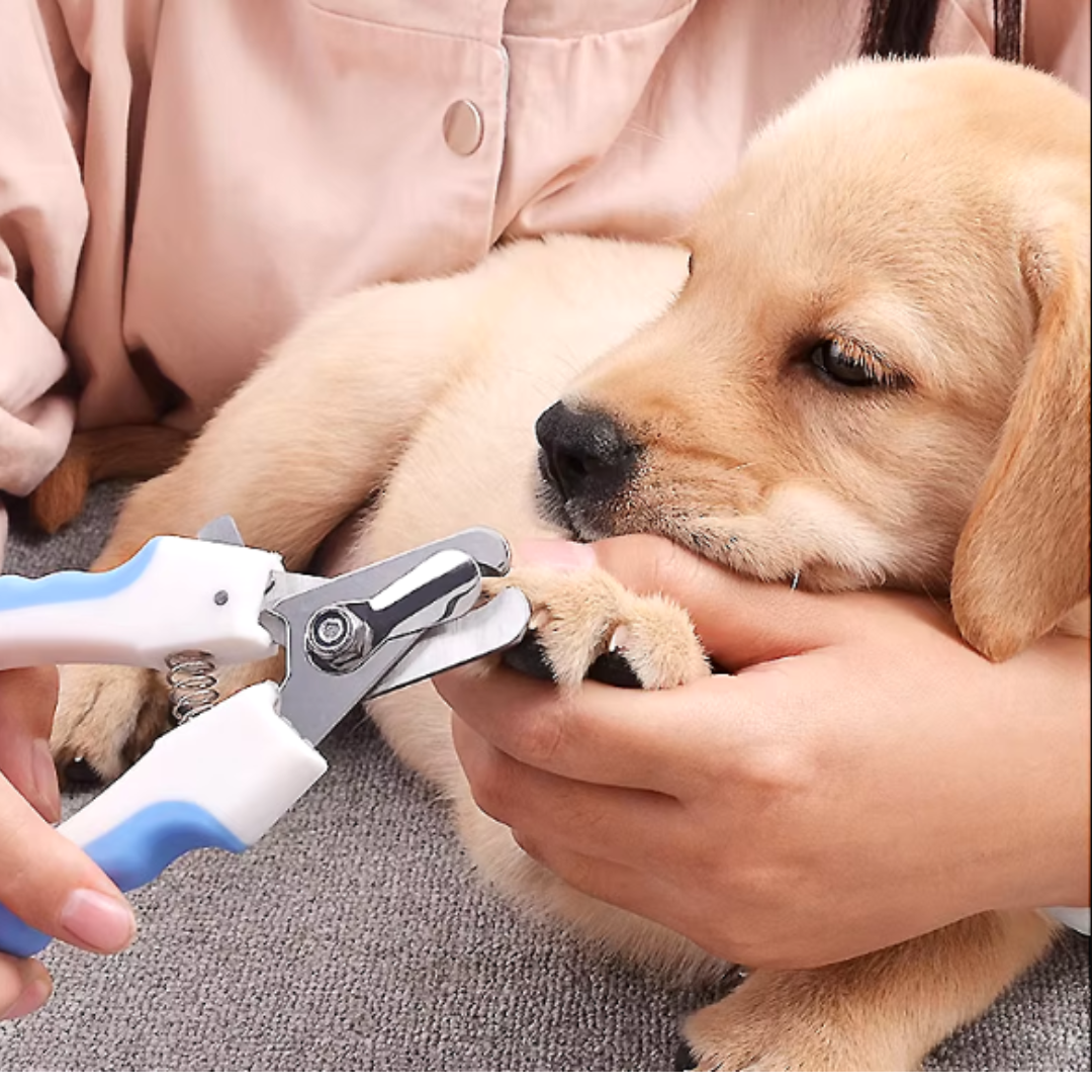 Cortador de unha para animais